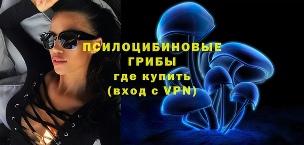 бошки Алексин