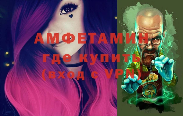 индика Алзамай