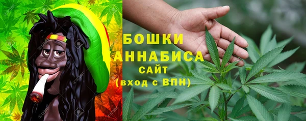 прущие грибы Пестово